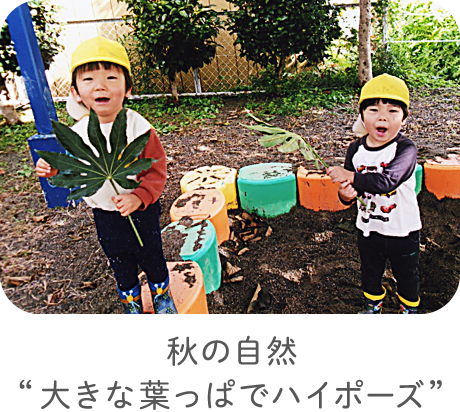 秋の自然“大きな葉っぱでハイポーズ”