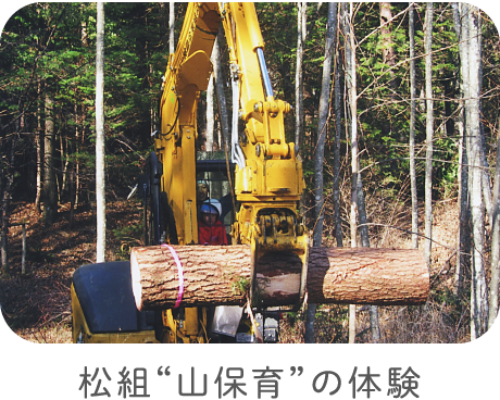 松組“山保育”の体験