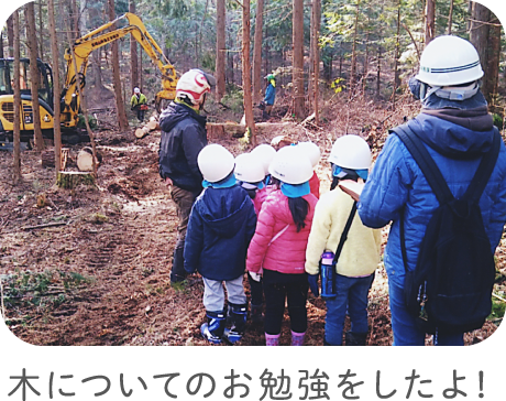 木についてのお勉強をしたよ！