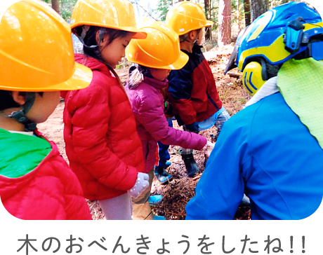 木のおべんきょうをしたね！！